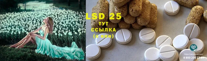 LSD-25 экстази кислота  Михайловск 