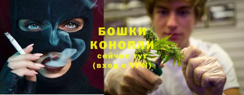 Бошки марихуана SATIVA & INDICA  Михайловск 